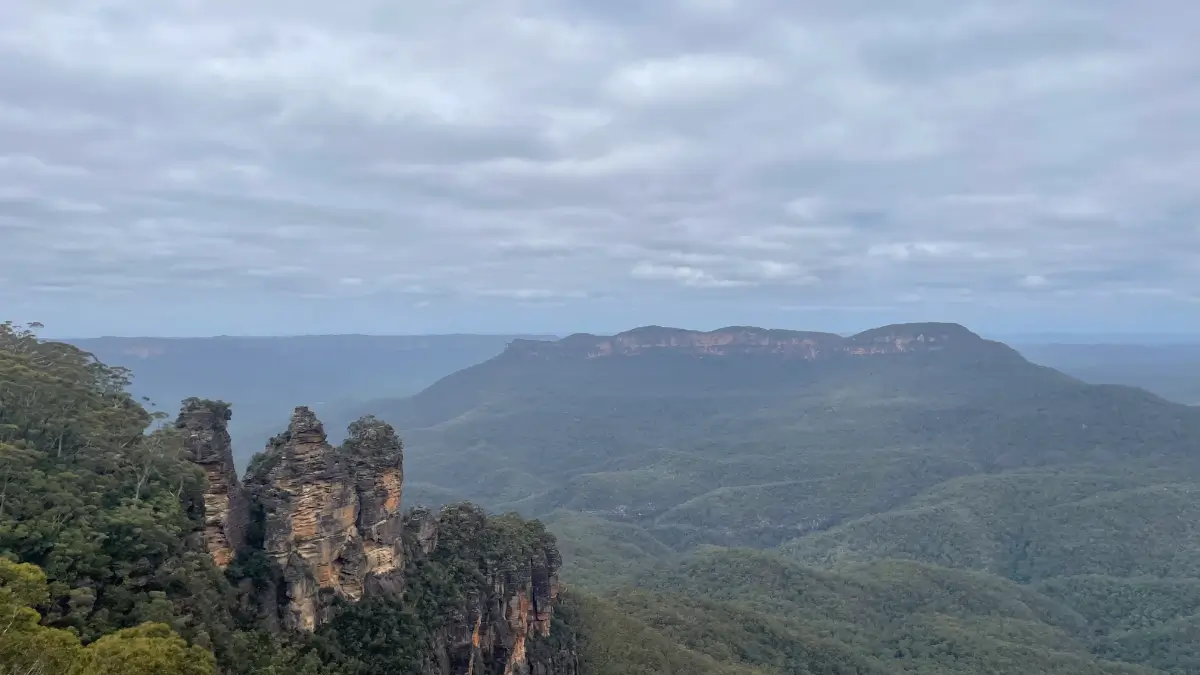 ブルーマウンテン