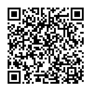 LINE留学相談 QRコード pRk2ft