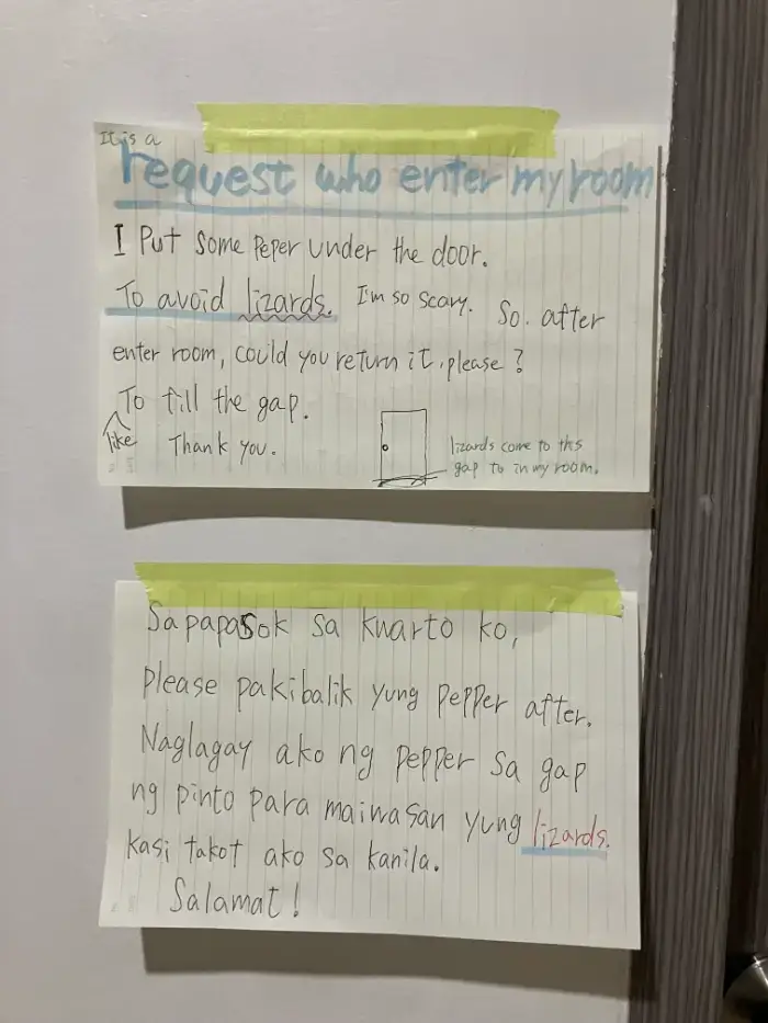 フィリピン留学中に見かけたヤモリ