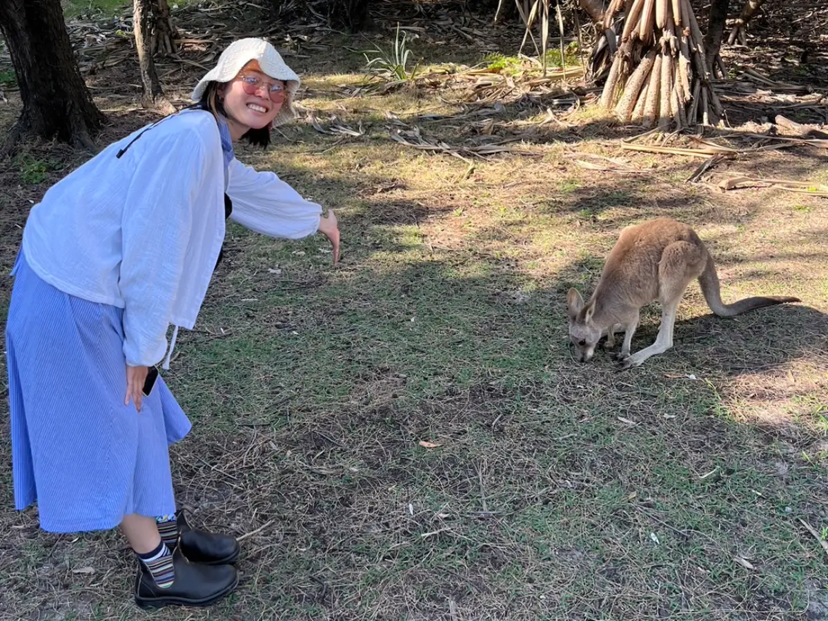 オーストラリアにいた野生のカンガルー