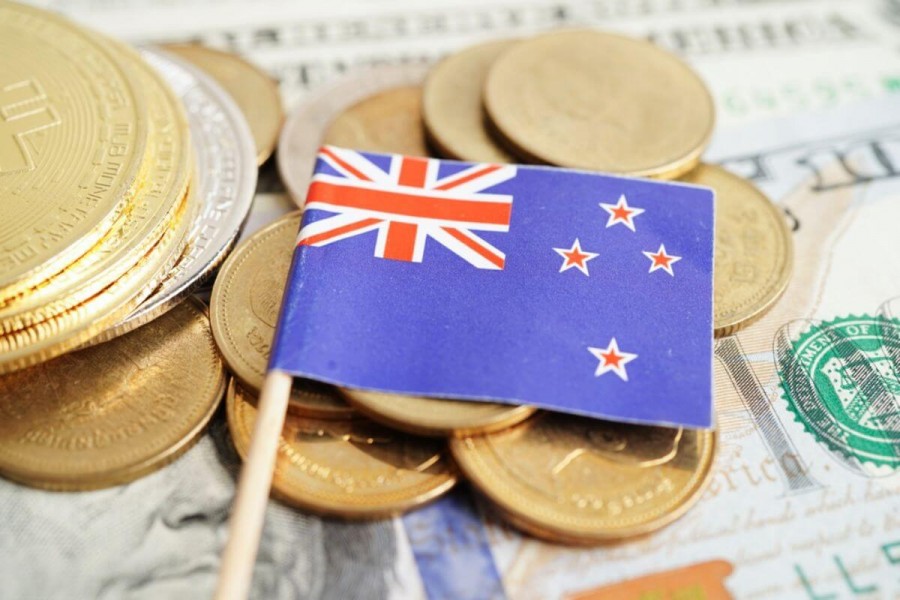 ニュージーランド　短期留学　費用　硬貨