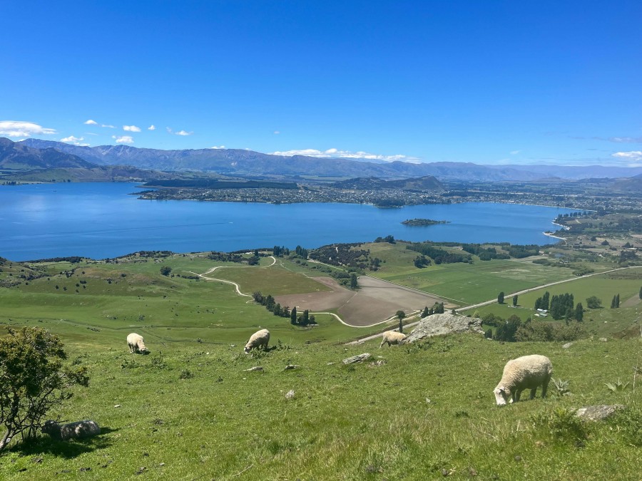 辛いと感じる理由