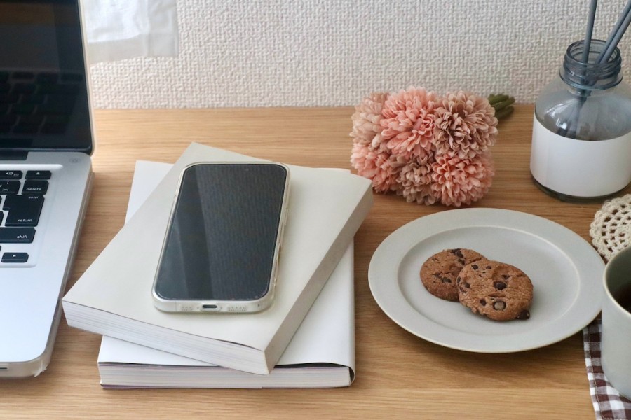 アメリカ チップ