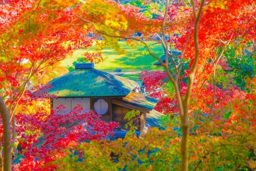 日本の伝統・自然