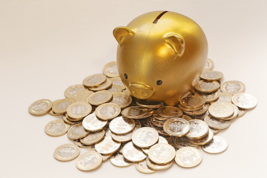 ワーキングホリデーをおすすめする社会人の特徴