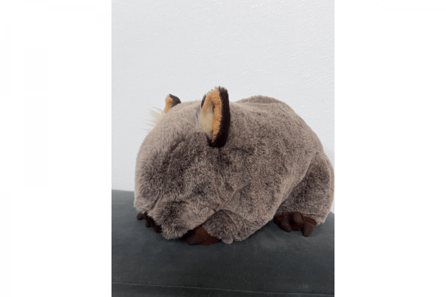 オーストラリア お土産 ウォンバットグッズ