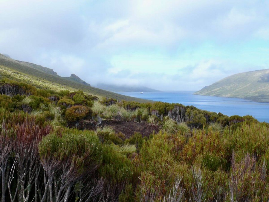 ニュージーランド 世界遺産 亜南極諸島