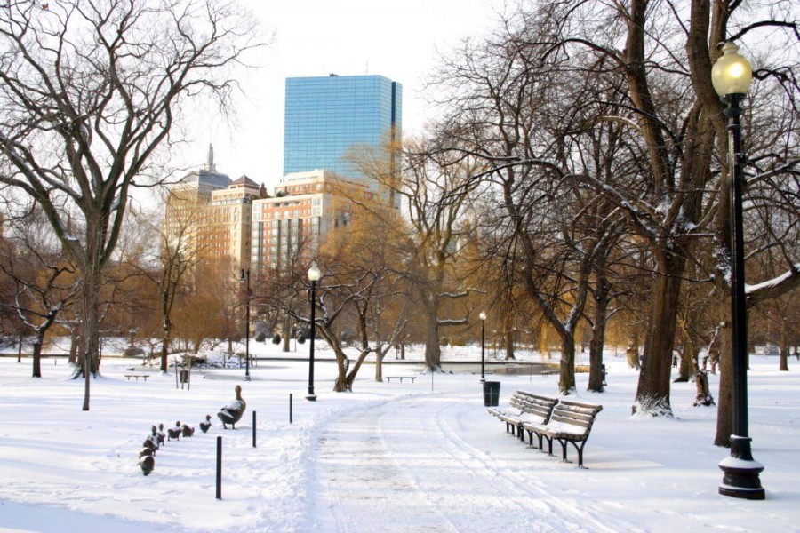 ボストン 留学 デメリット 冬が寒く体調を崩しやすい