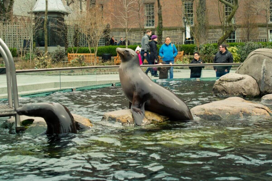 ニューヨーク 観光 セントラルパーク動物園