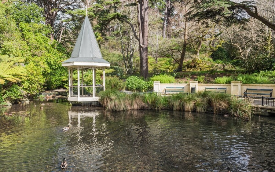 ニュージーランド 観光 ウェリントン植物園