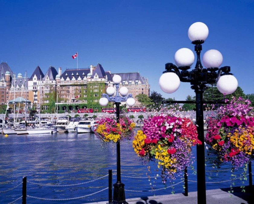 ビクトリア 仕事