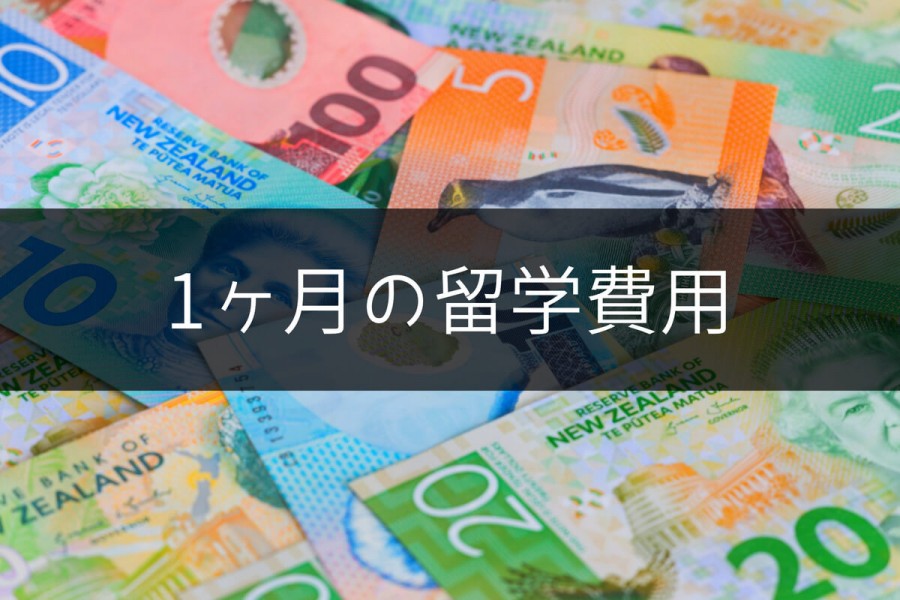 ニュージーランド 留学 費用 1ヶ月