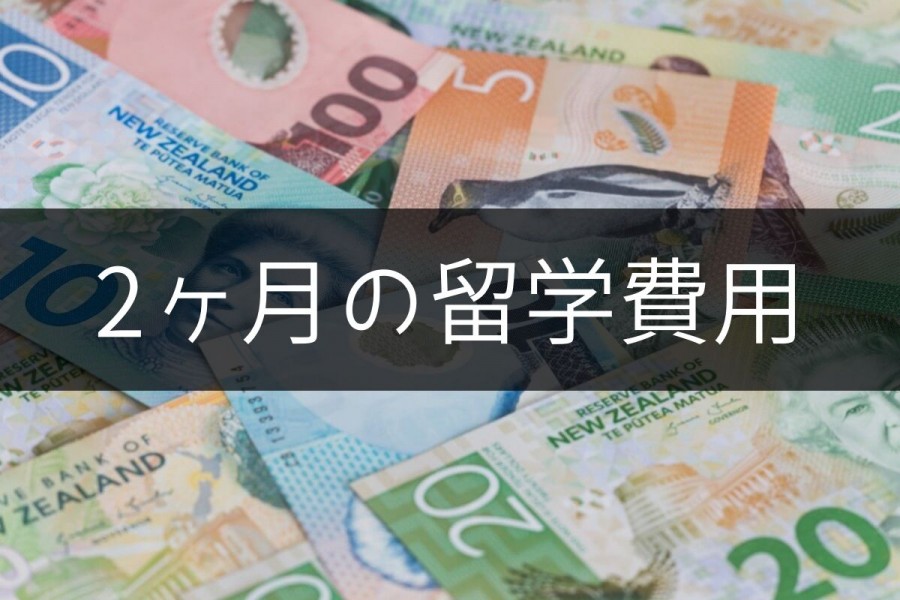 ニュージーランド 留学 費用 2ヶ月