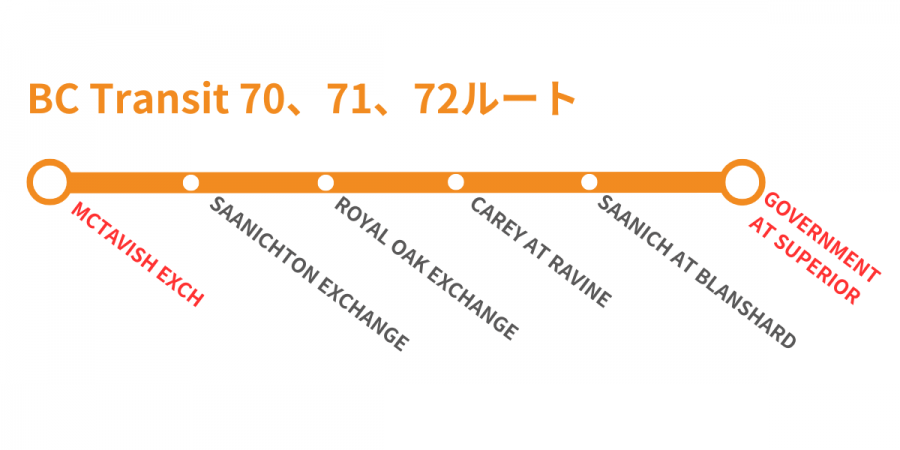 ビクトリア 空港　市内アクセス