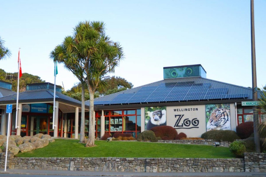 ニュージーランド 観光 ウェリントン動物園