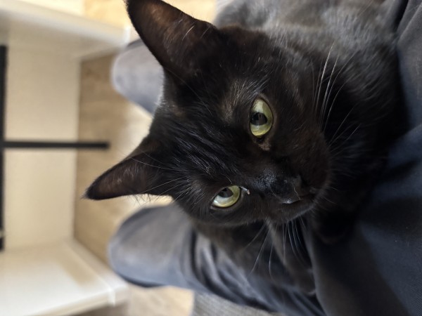 英語で話すことに自信がつきました！ - 通ってると懐いてくれます。