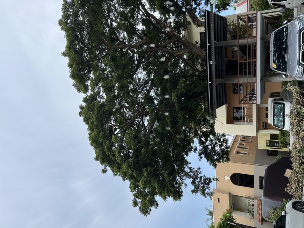 親子で英語にしっかりと向き合えました - 