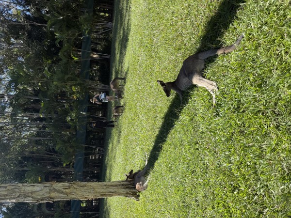 フレンドリーな学校 - 