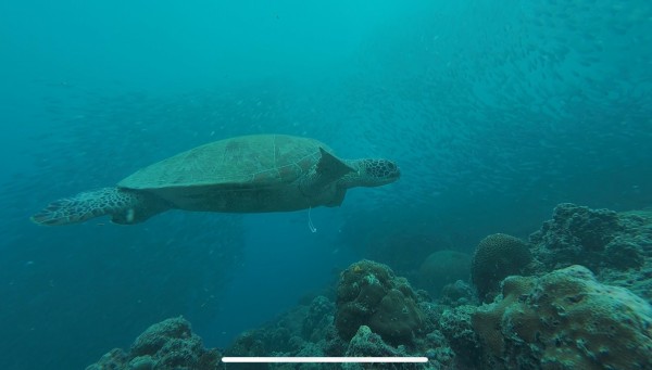 落ち着いた環境で、英語学習に集中したい方におすすめ - 留学中に行ったモアルボアルツアー