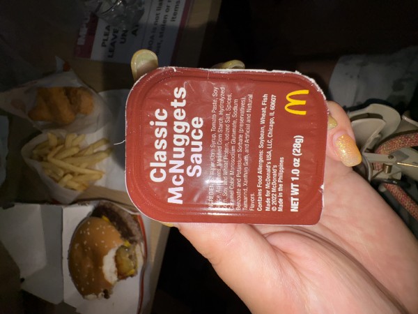 みんなセブ島本島じゃなくてマクタン島の留学を強くお勧めします！ - ソースはマスタード選んで！