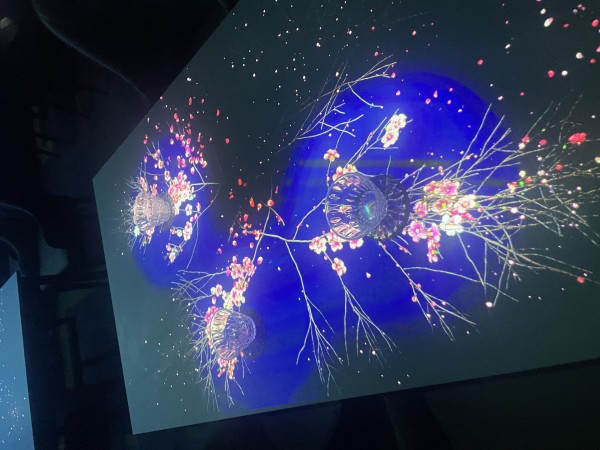 初心者でも安心して楽しく学べて成長できる留学 - Vivace Art Cafe