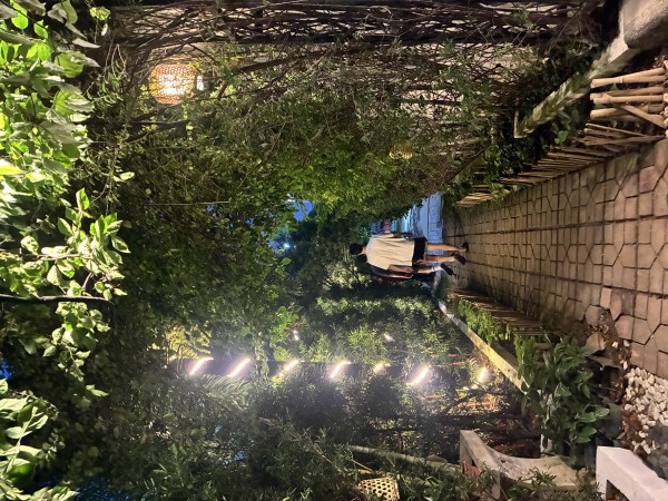 夢だったのかと思うくらい楽しい学校生活 - 学校にはこんな落ち着くような所もある