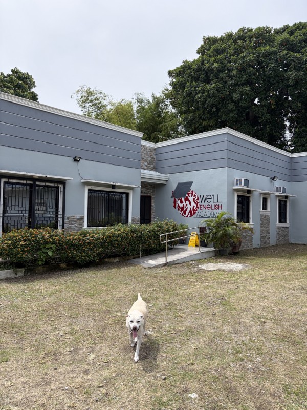 先生方やスタッフの方々の温かさに支えられた留学でした！ - 看板犬ウィルちゃんが歓迎してくれます