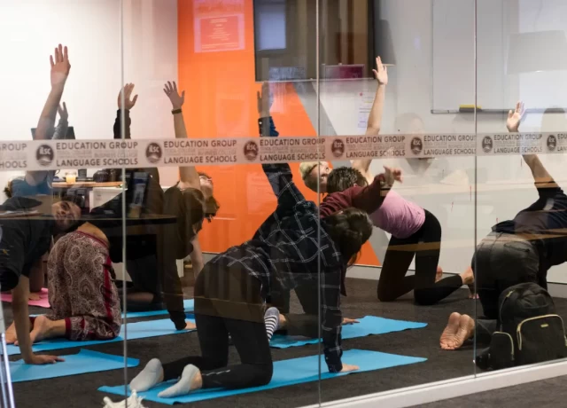 アクティビティ