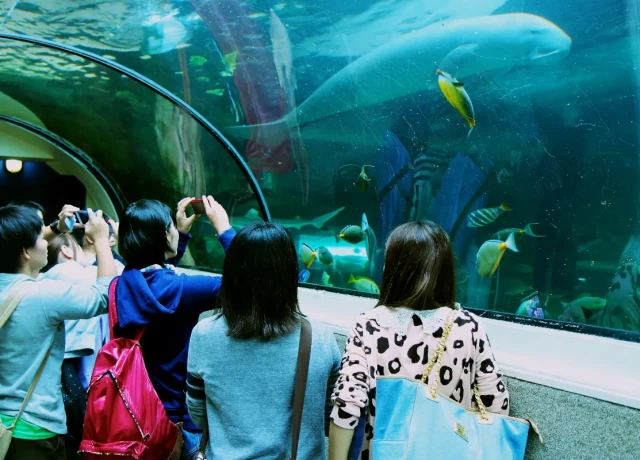 アクティビティ