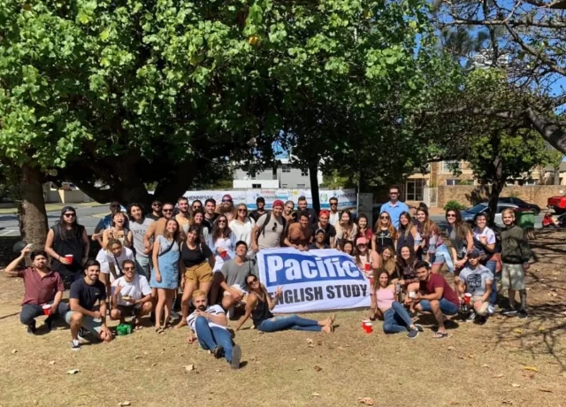 アクティビティ