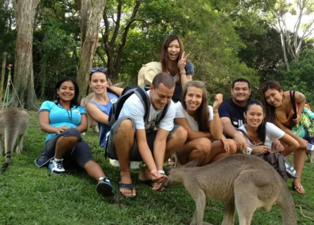 アクティビティ