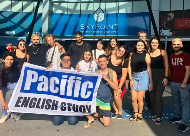 アクティビティ