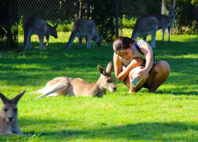 アクティビティ