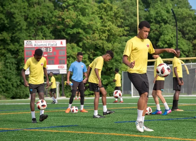 アクティビティ