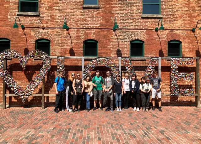 アクティビティ