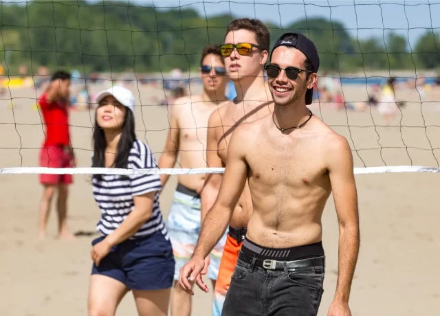 アクティビティ