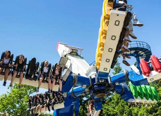 アクティビティ