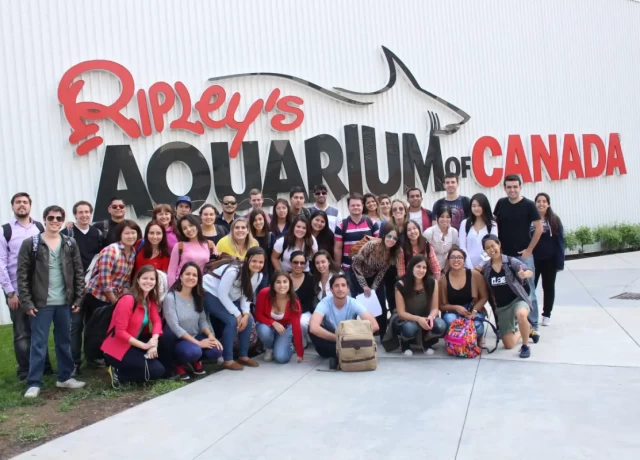 アクティビティ