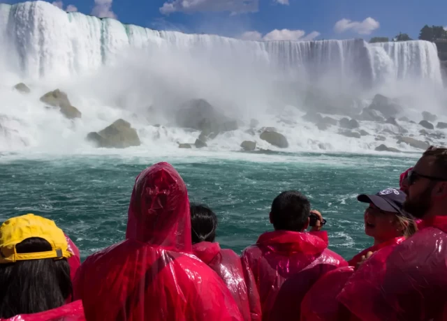 アクティビティ