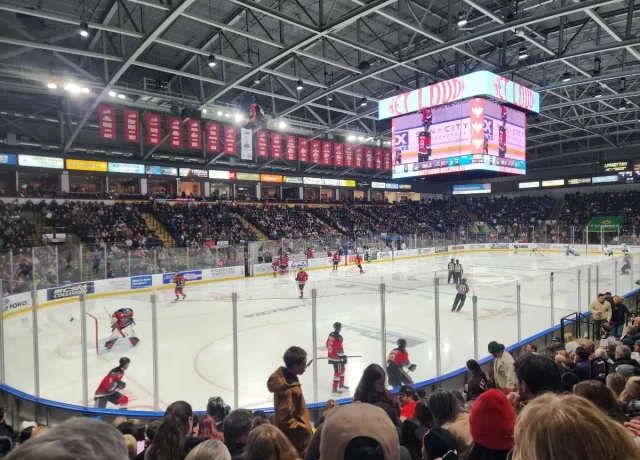 アクティビティ