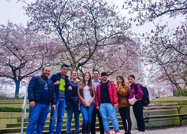 アクティビティ