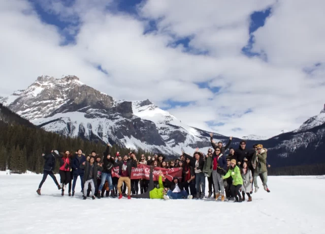 アクティビティ