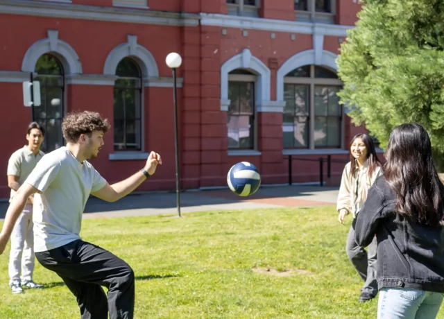 アクティビティ