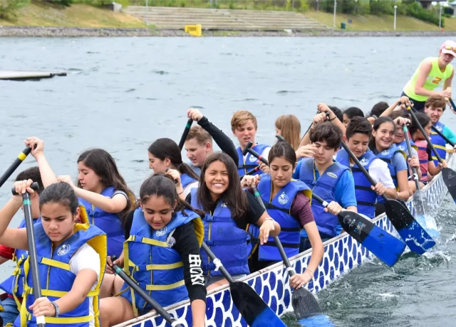 アクティビティ