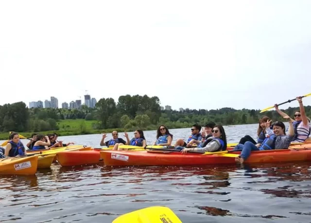 アクティビティ