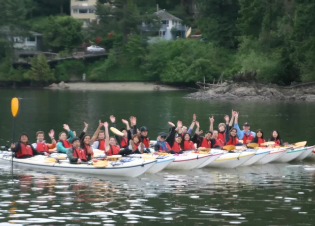 アクティビティ