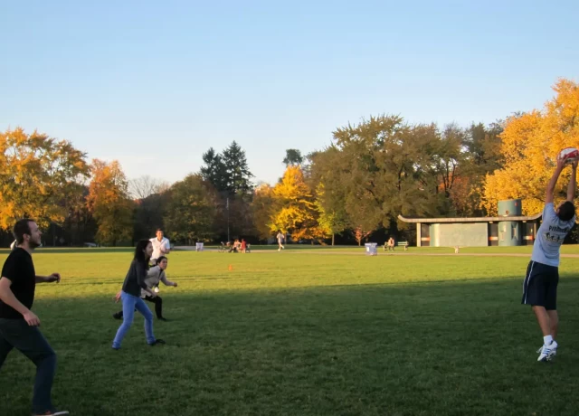 アクティビティ