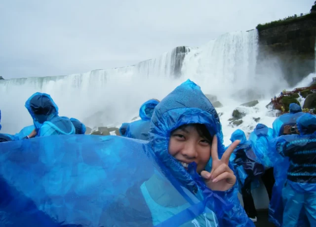 アクティビティ