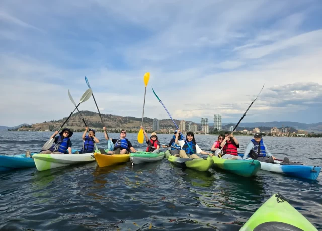 アクティビティ