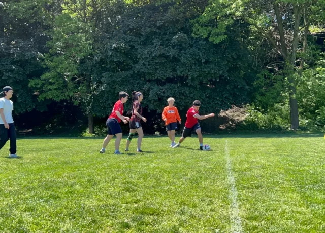 アクティビティ